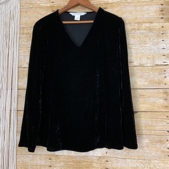 Express Tops - 🌸Vintage Express Velvet Long Sleeve V-Neck🌼 Express Tops - 🌸Vintage Express Velvet Long Sleeve V-Neck🌼